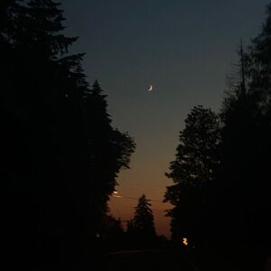 Meet your Posher, Sydney